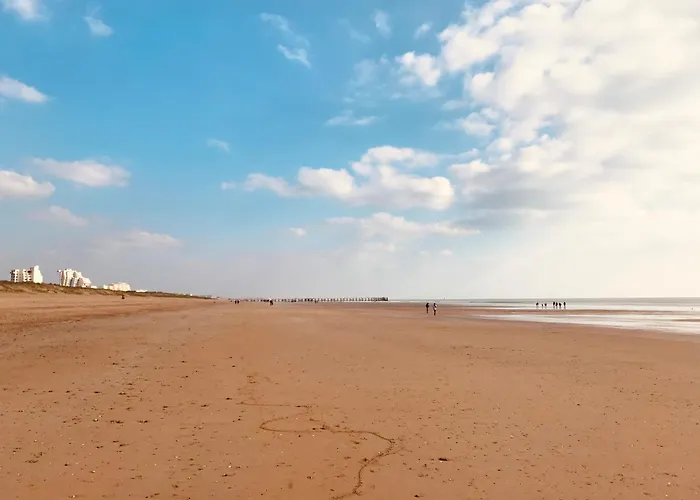 Maison Du Bois, Pinède Et Océan Villa