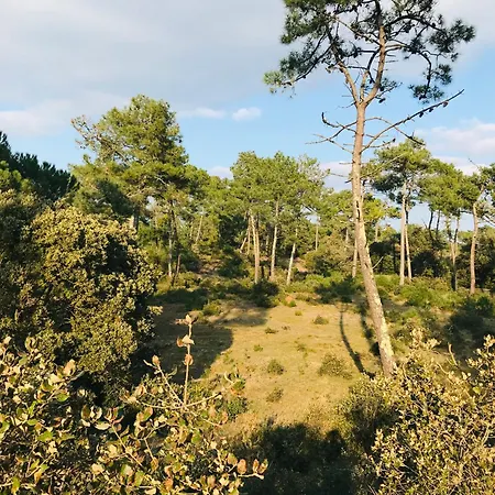 Maison Du Bois, Pinede Et Ocean *