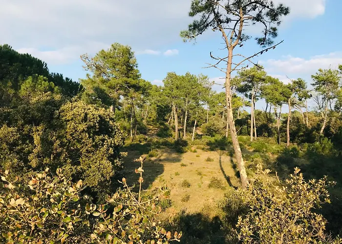 Maison Du Bois, Pinede Et Ocean *
